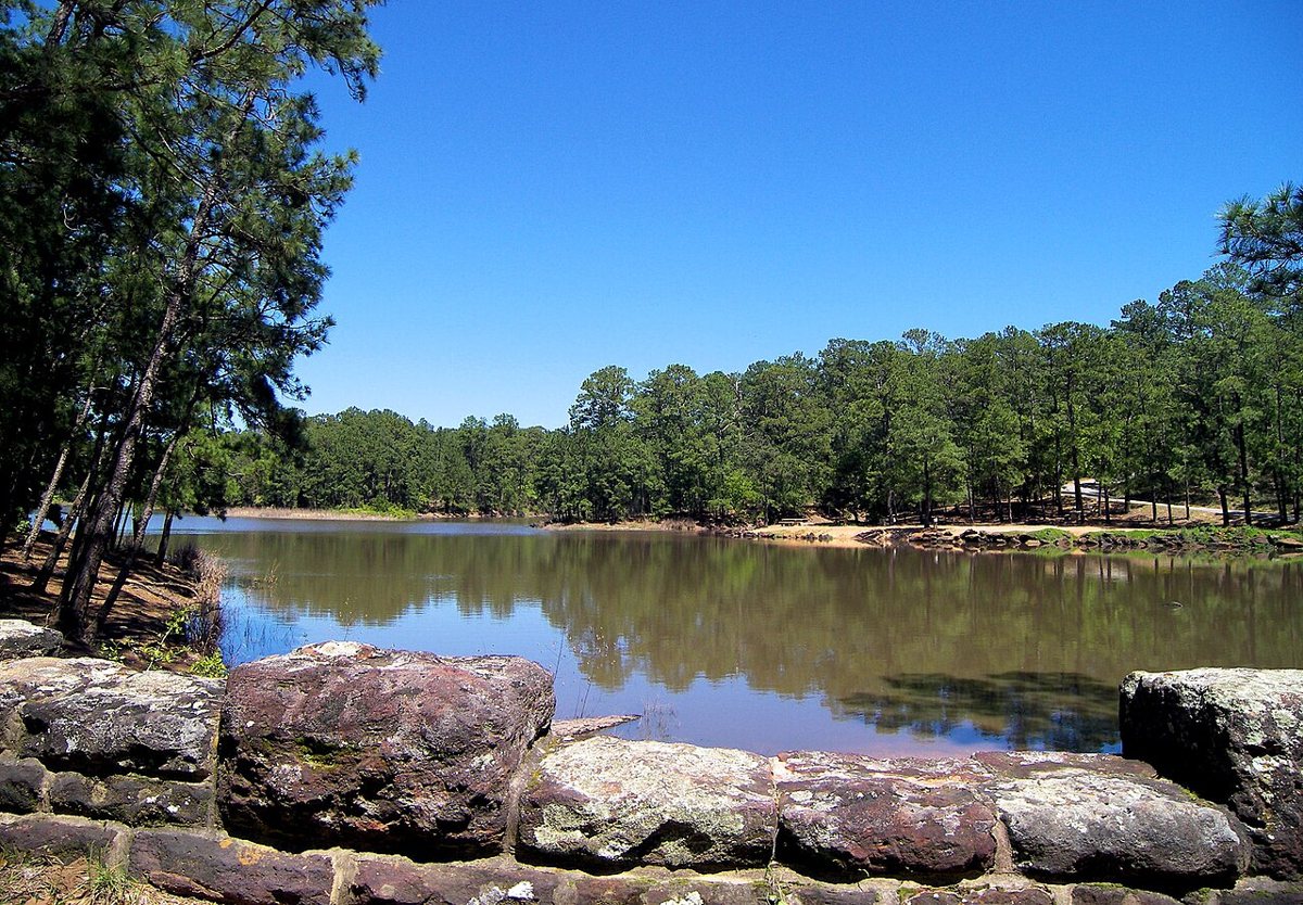 Bastrop State Park Lost Pines forest