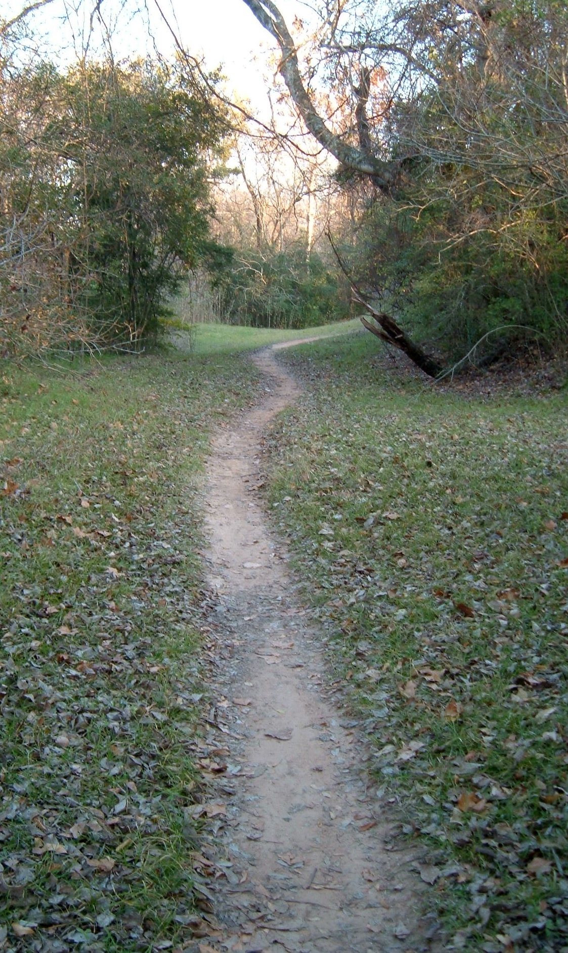 Cyclists and joggers on the trail along Buffalo Bayou at Terry Hershey Park in west Houston