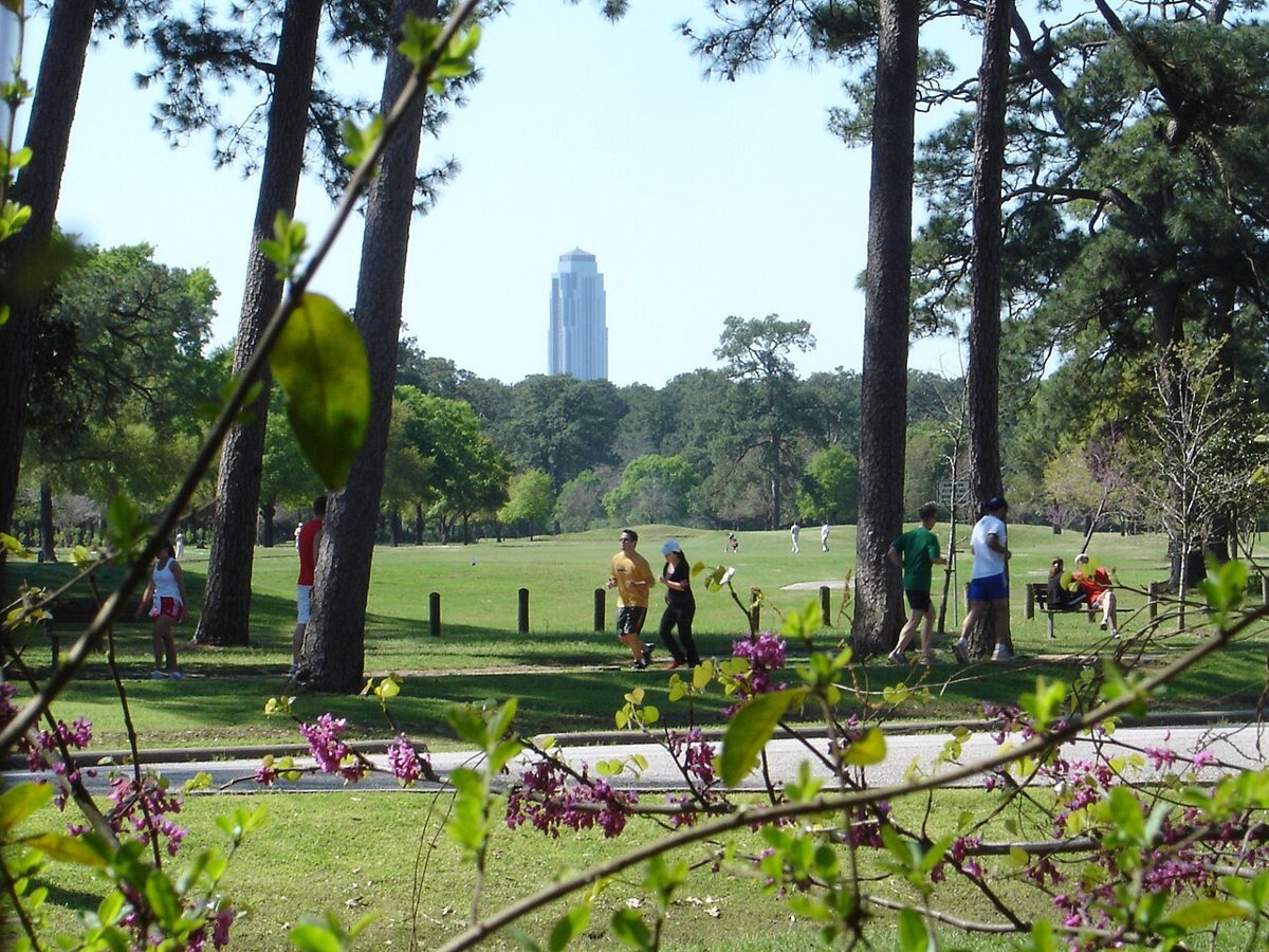 Memorial Park Eastern Glades lake and boardwalk in Houston