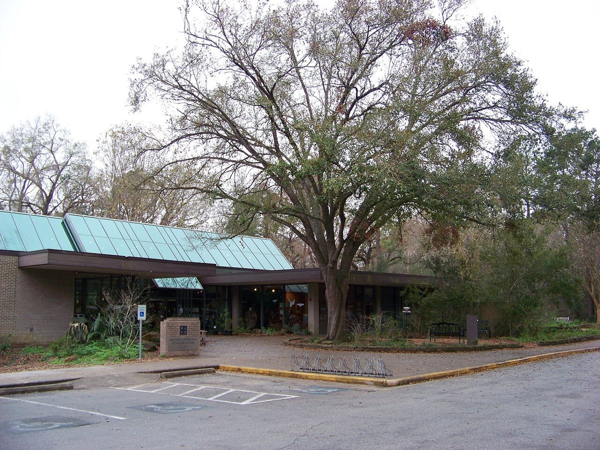 Houston Arboretum and Nature Center forest trail in spring