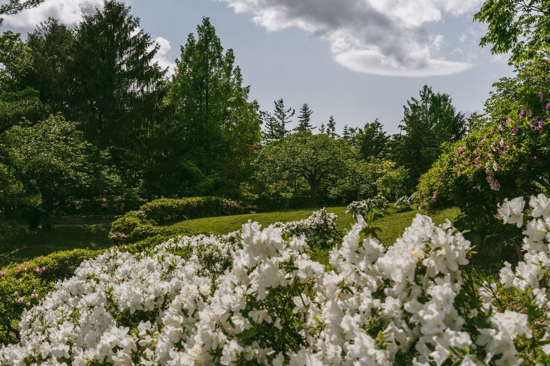 spring things to do in houston
